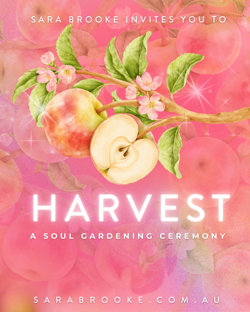 Harvest-2